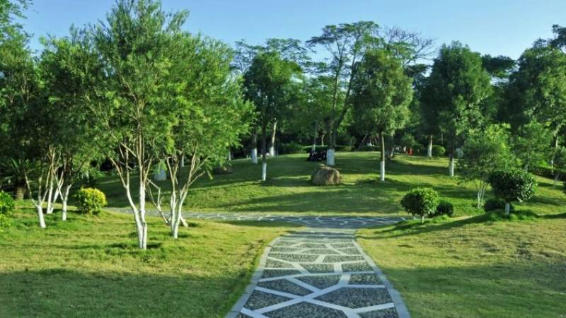 LPL职业联赛直播平台怎么选？画质、延迟与观赛体验的实用判断